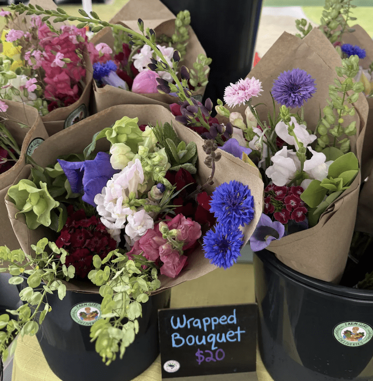 Spring salads and recipes